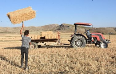 SİVAS'TA ÇİFTÇİLERİN ZORLU SAMAN MESAİSİ