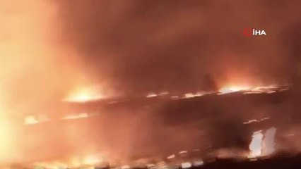 Ağaçlık alanda çıkan yangın kontrol altına alındı