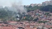 İstanbul’da ağaçlık alanda yangın