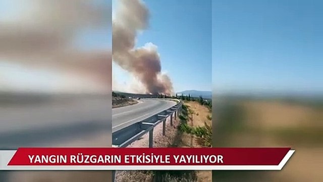 Balıklıova yangını rüzgarın etkisiyle yayılıyor