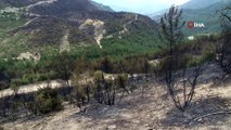 Karabük'teki orman yangınının izleri gün ağarınca böyle görüntülendi