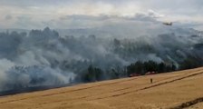 Jesi (AN) - Incendio sulle colline: in zona Canadair (07.08.21)