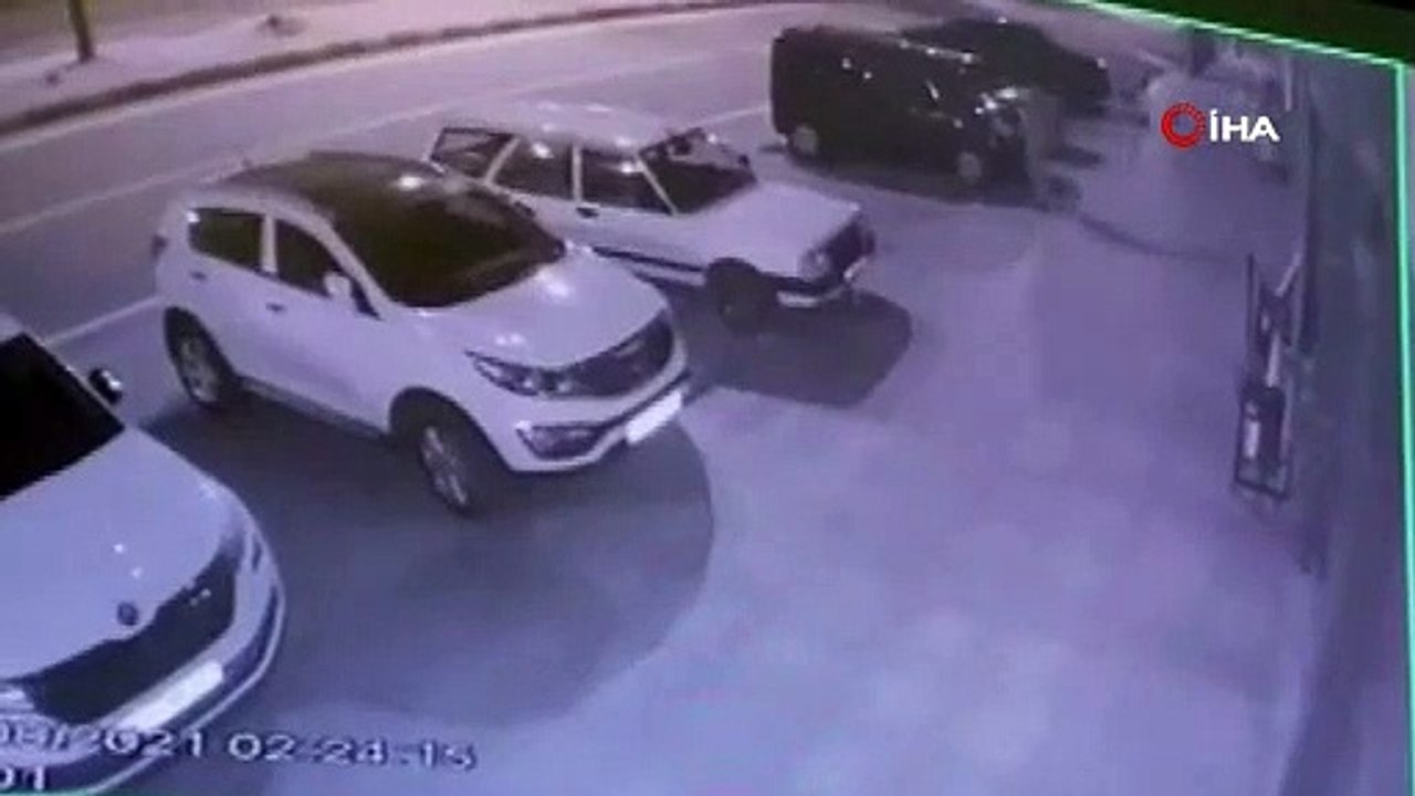 Başıboş sokak köpekleri kadına dehşeti yaşattı