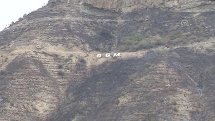 Son dakika: Ormanlık alanda çıkan yangın kontrol altına alındı