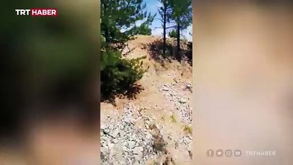 Makinistler treni durdurup orman yangınını söndürdü