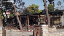 Incendi in Grecia: quinto giorno di fiamme e gara di solidarietà per le comunità colpite