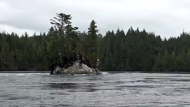 Ile flottante ou pas ??? illusion d'optique