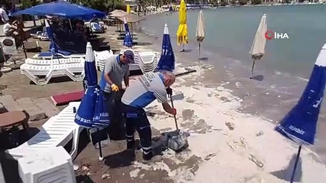 Datça sahilinde tedirgin eden görüntü