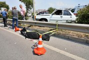 Samsun'da otomobil aydınlatma direğine çarptı: 1 ölü, 3 yaralı