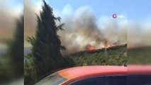 Son dakika haberi: İzmir'in Urla ilçesine bağlı Balıklıova'daki makilik alanda orman yangını çıktı. Yangına, havadan ve karadan müdahale başladı