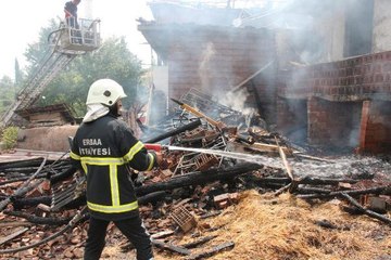 TUTUŞAN SAMAN BALYALARI 2 EVE SIÇRADI, ANIZ YAKAN BİR KİŞİYE CEZA KESİLDİ