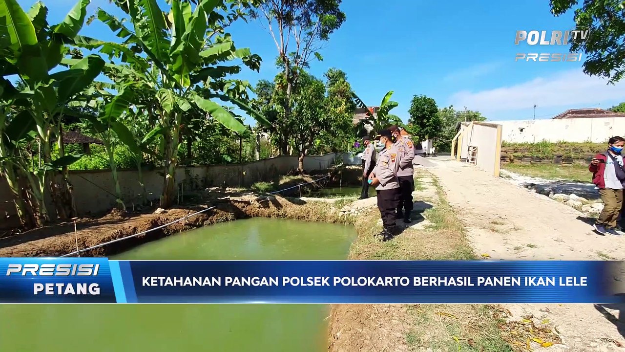 Program Ketahanan Pangan Polsek Polokarto Berhasil Memanen Ikan Lele