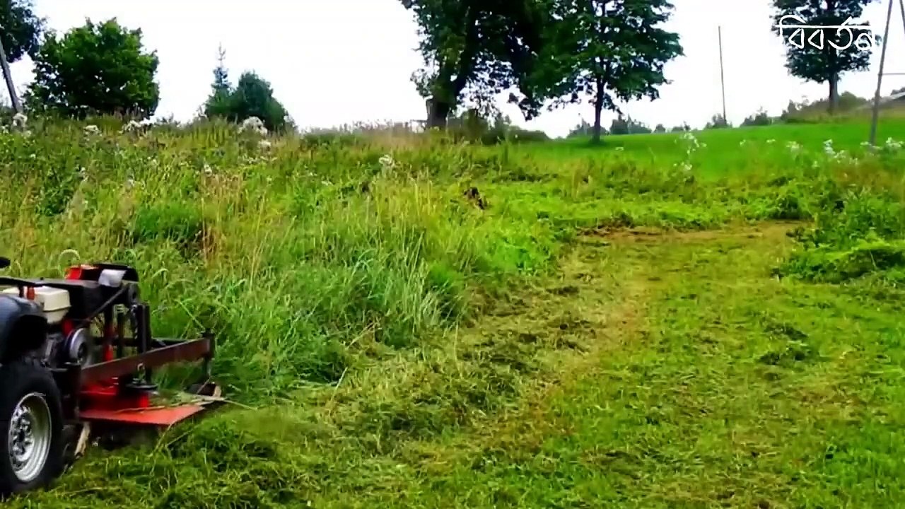 খেলা চলাকালীন সময়ে মাঠে যা ঘটে গেল তা দেখলে রেকর্ড  না হলে বিশ্বাস করতেন না আপনি