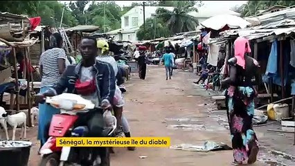 Sénégal : le mystère de l'île du Diable