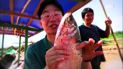 세계테마기행 - 남미, 취향 저격 가이드북- 남미가 한 곳에, 에콰도르_#001