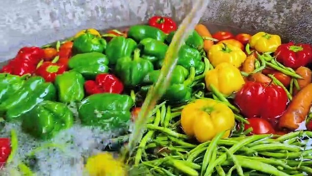 CHINESE CABBAGE WITH FRIED RICE CHINESE RECIPE VEG FRIED RICE RECIPE VEG VILLAGE FOOD