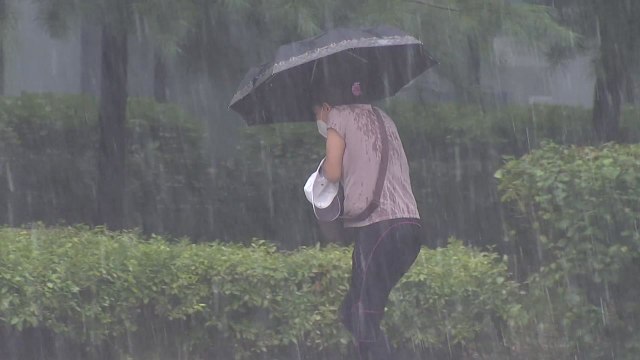 [날씨] 휴일, 무더위 속 중부 소나기...동해안 150mm↑ 폭우 / YTN