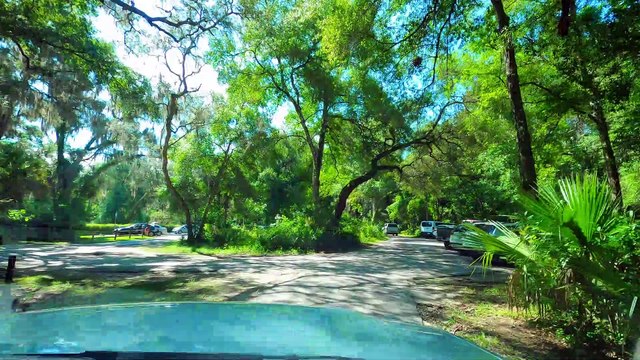 Wekiwa Springs State Park in Florida, Walking and Underwater Swimming
