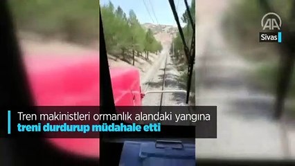 Tren makinistleri ormanlık alandaki yangına treni durdurup müdahale etti