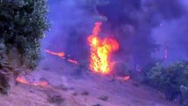 Devastadores incendios en Grecia, Turquía y Rusia