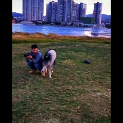 Funny And Cute Husky Puppies Compilation #3
