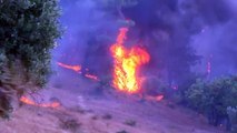 Греция, Россия и Турция ведут борьбу с лесными пожарами