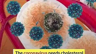 Coronavirus needs cholesterol to invade cells, study finds