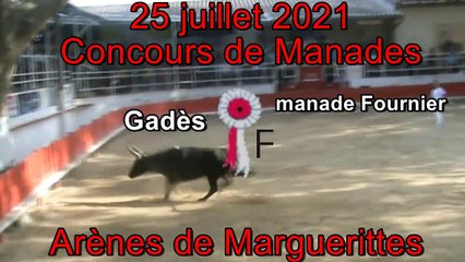 2021 07 25 Gadès
