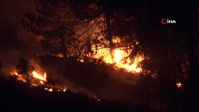 Muğla'da alevlerle mücadele gece boyu sürdü