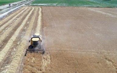 KONYA OVASI'NIN HUBUBATTA ÜRÜN KAYBI 1 MİLYON TON