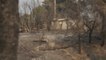 Greece wildfires: Residents return to cinders