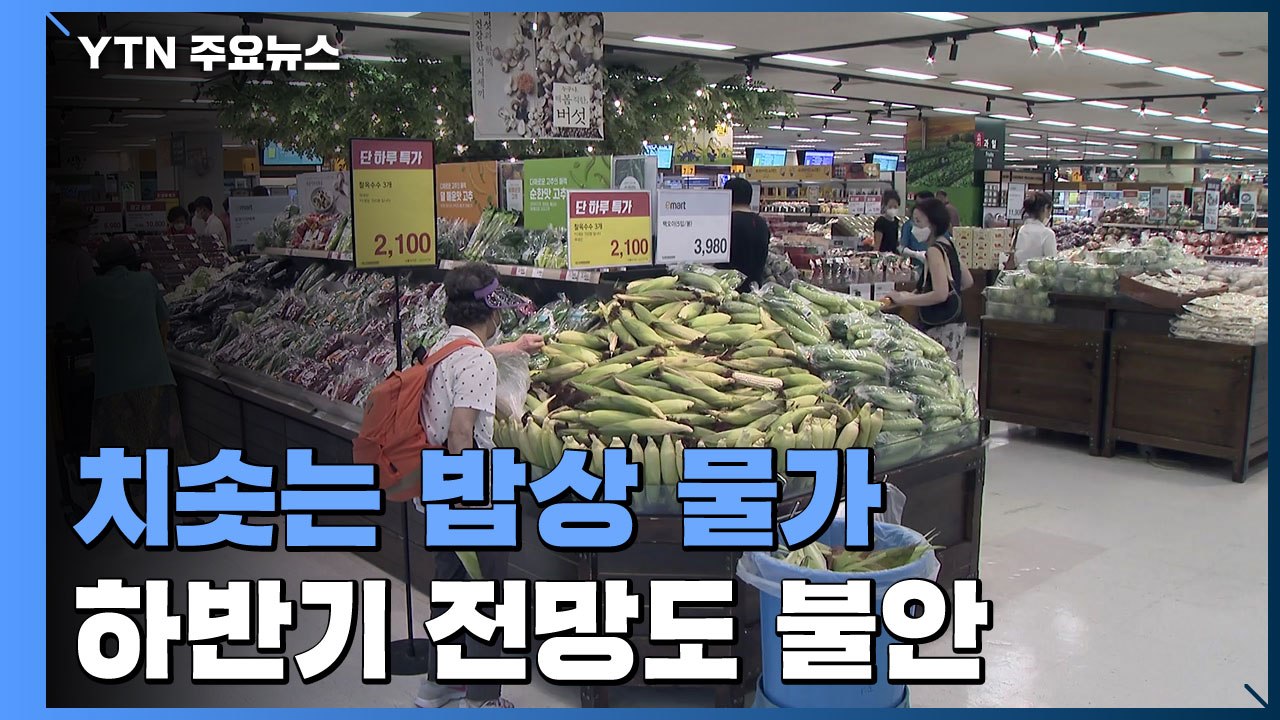 "밥상 물가 어쩌나"...2분기 상승률 OECD 3위 / YTN