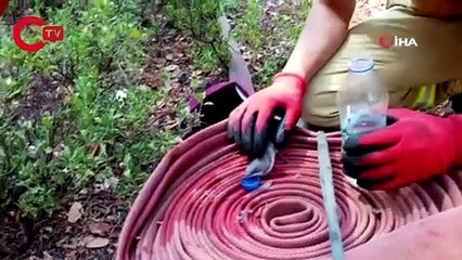 Orman yangınından etkilenen kuşa böyle su içirdi