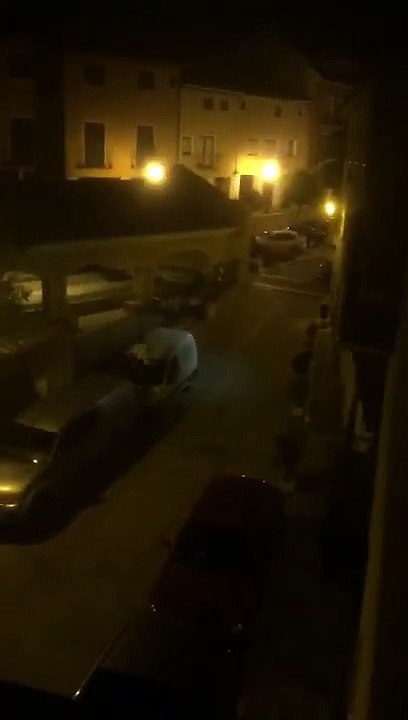 Un toro se escapa de la Plaza de Toros La Muralla, de Brihuega, y acaba muriendo después de recibir varios golpes de vehículos