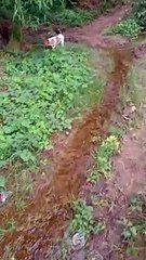 ,Uwian na habang ala pa ulan