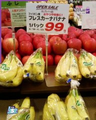 أغرب الحقائق عن اليابان