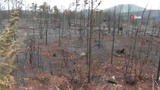 Son dakika gündem: Kissebükü'ndeki yangına ilk müdahale eden ekip konuştu: ? Yangını kesmeseydik Bodrum'a kadar giderdi