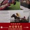 Dream Horse Film - Avis des spectateurs