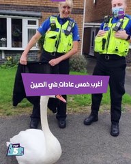 أغرب العادات الصينية