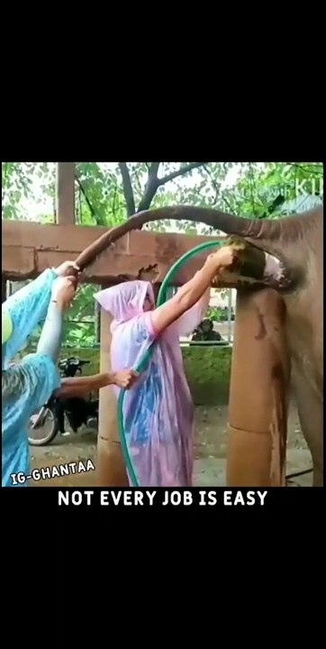 OMG YEH KAYA HOVA so funny video