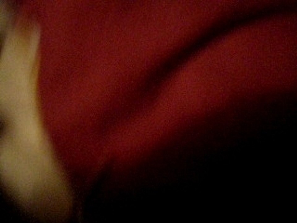 Photo l 025