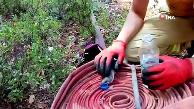 Orman yangınından etkilenen kuşa böyle su içirdi