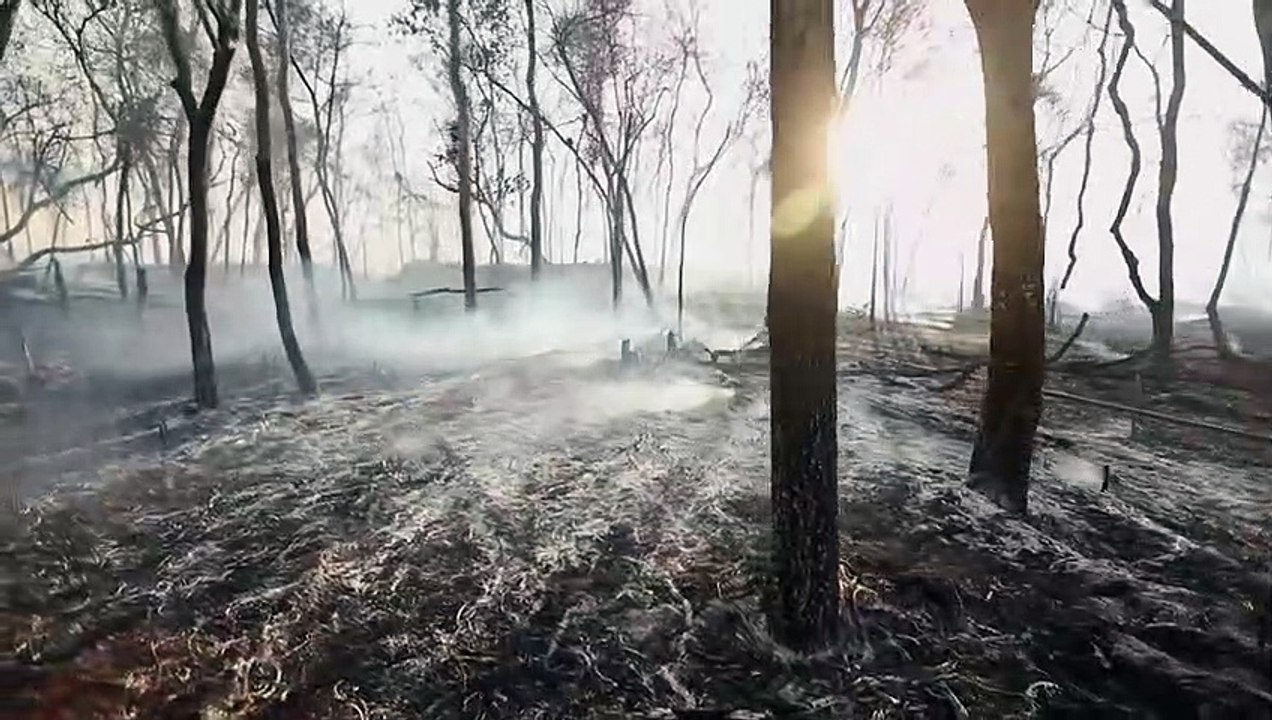 Crece la preocupación en Brasil por el avance de los incendios forestales