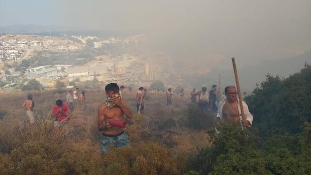 DATÇA'DA MAKİLİK VE ZEYTİNLİK ALANDA YANGIN