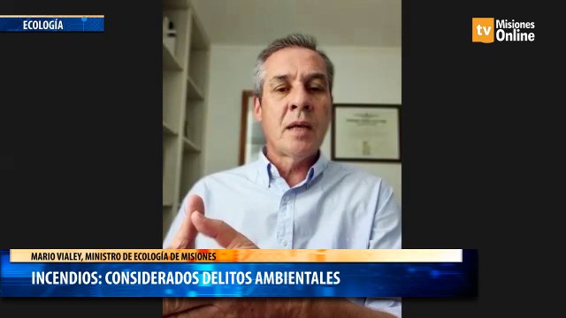 Incendios considerados delitos ambientales