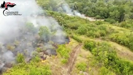شاهد: كاميرات المراقبة ترصد مزارعا إيطاليا يشعل حريقاً في منطقة ريفية والشرطة تعتقله