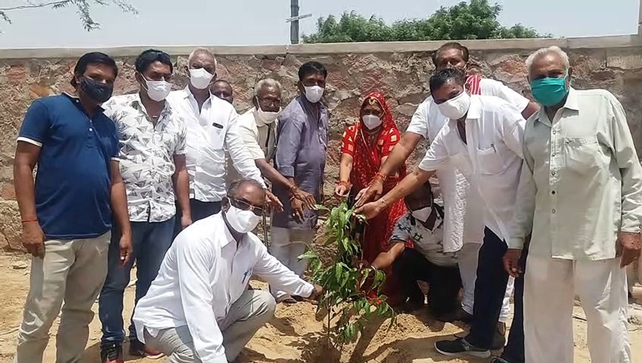 हरयाळो राजस्थान अभियान के तहत होगा पौधरोपण