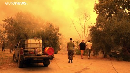 Cosa rimane dell'isola di Eubea in Grecia dopo 6 giorni di fuoco