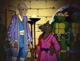 Teenage Mutant Ninja Turtles S07E18 White Belt, Black Heart