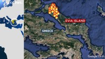 Los incendios forestales evocan un paisaje apocalíptico en Grecia